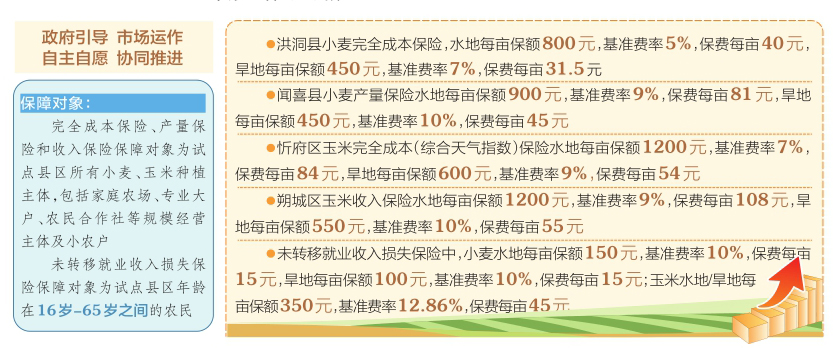 一肖一码免费，公开与实用释义的落实深度解析