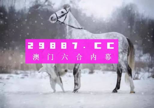 澳门一肖一码，精准预测的解析与公平落实的探讨