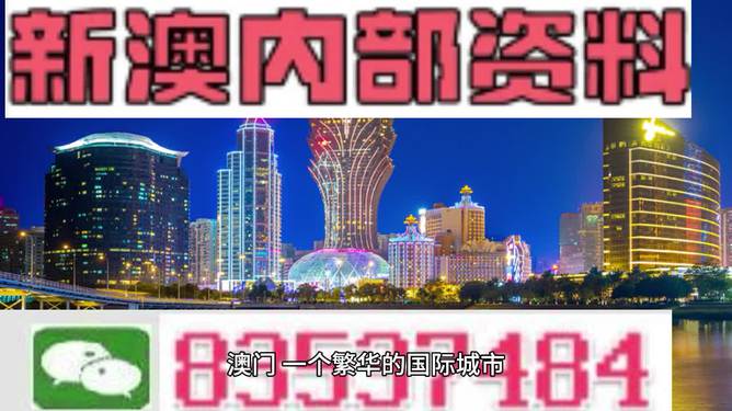 澳门新王中王正版，公平解释解析与落实展望于2024-2025年