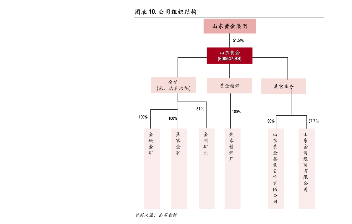 迈向公正公开，2024-2025年正版资料免费公开的实施与展望