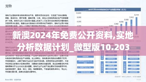 新澳免费资料内部玄机与文明解释解析的落实展望（2024-2025年）